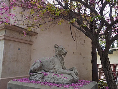 Pica Adventure in Long Beach: LA Zoo Sidequest