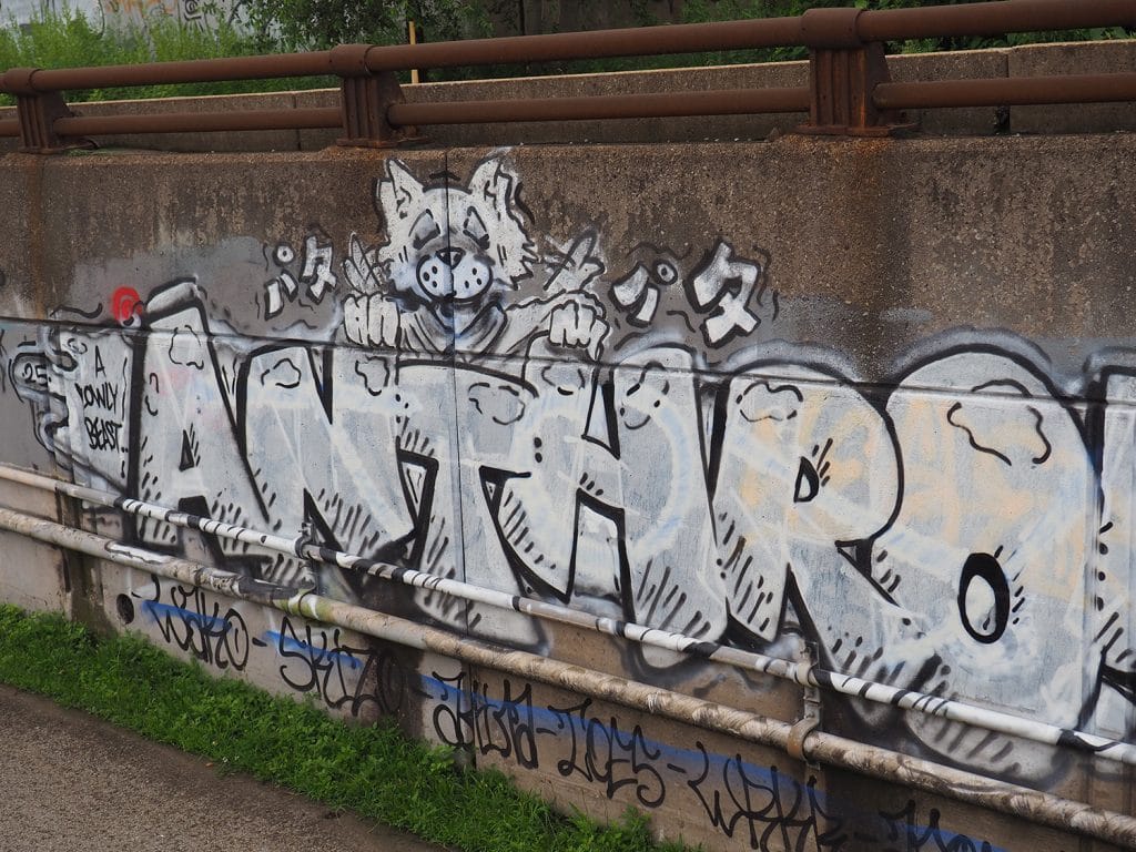 a photo of graffiti on a concrete wall, depicting a happy cartoon wolf and the text "a lowly beast... ANTHRO!" in black and white
