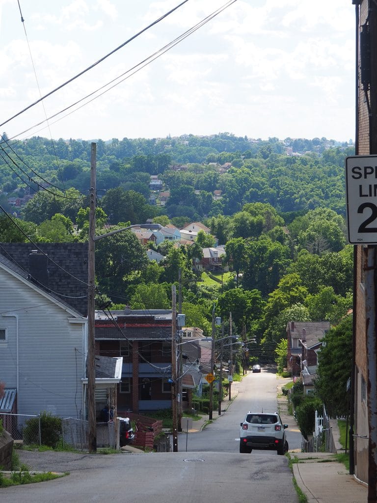 a photo of a street in a residential neighborhood, with a forested hill in the background where more houses peek out from between the trees