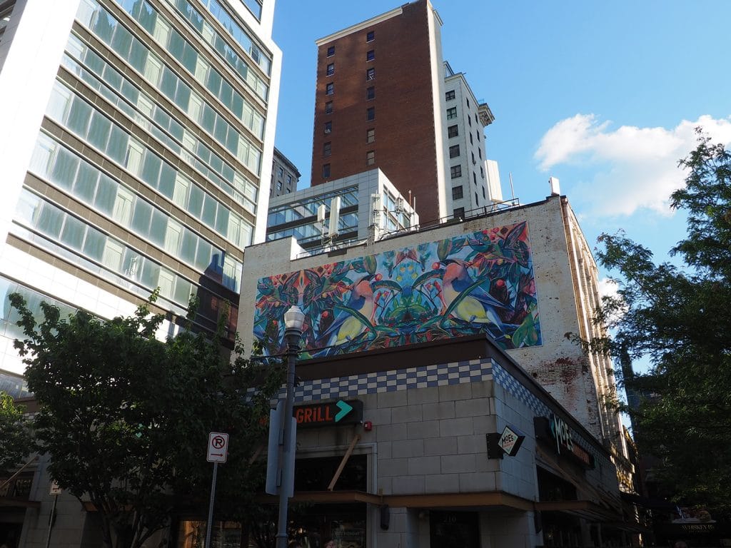 a photo of a mural on the side of a building depicting cedar waxwing birds, with skyscrapers in the background
