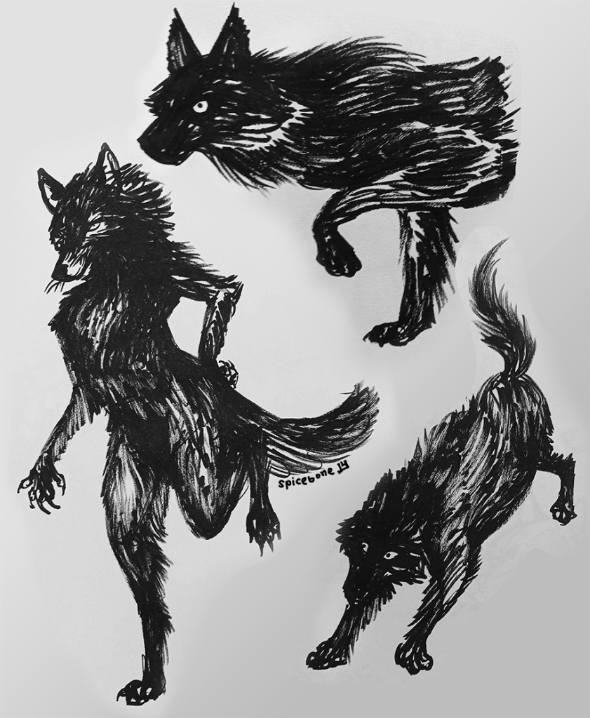 a collage of three brush pen drawings of wolves: one is shown midstep looking at the viewer, another is prowling vertically, and the last is bipedal and posed as though stretching